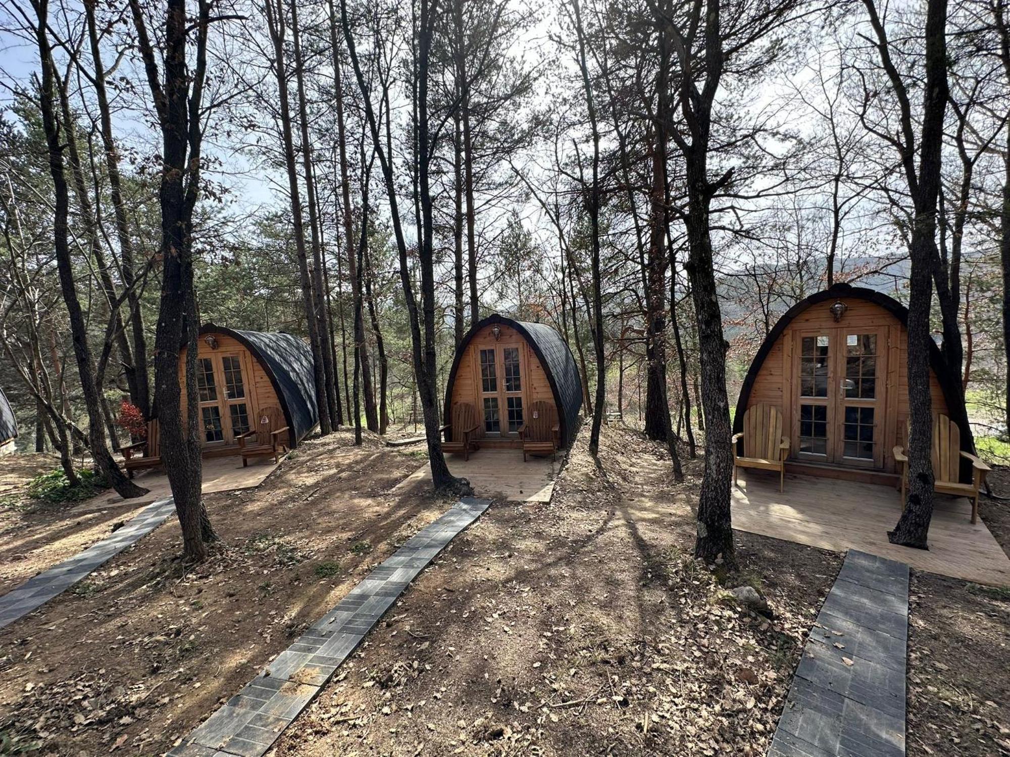 Camping Ripolles מראה חיצוני תמונה